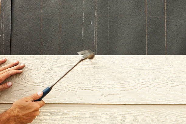 Best Siding Painting and Refinishing  in Warren, PA